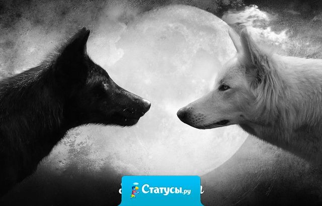 Сейчас найти настоящего, искреннего друга очень тяжело и если у вас есть такой человек, берегите его.