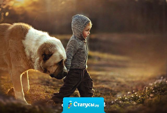 Мне и одного друга достаточно, если он настоящий.