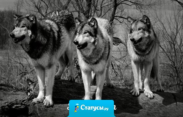 Не беда, если нет друзей, беда если они фальшивые и продажные.