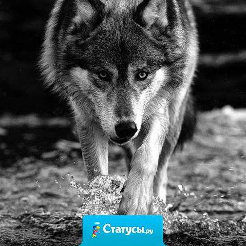 Хорошие друзья достаются тому, кто сам умеет быть хорошим другом.