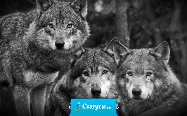 Настоящие друзья это не те, кто уходит тихо из вашей жизни и не возвращается, а те, кто вас спустя годы находит. Возвращается, как-будто и не было этих лет расставания.