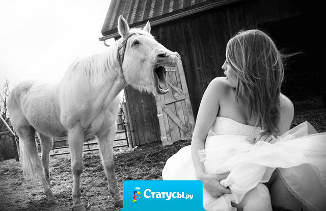 Ну вот скоро новый год принца можете не ждать, но лошадь обязательно прискачет.