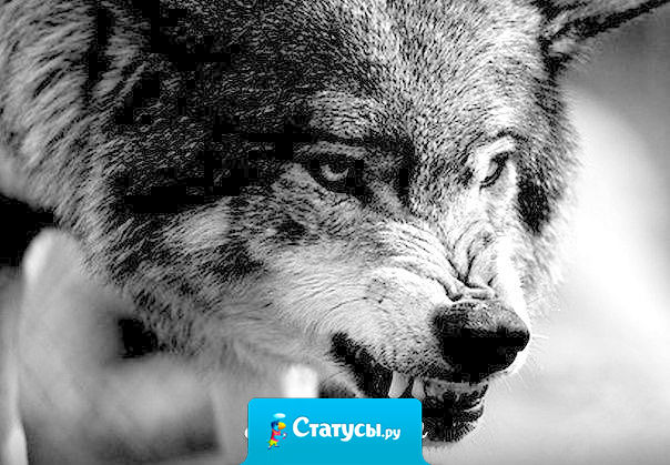 Друзья познаются не только в беде, но и в радости. Те люди, которые не могут за тебя искренне порадоваться, не являются твоими друзьями.