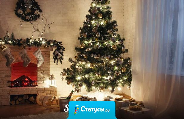 Я тот человек, что за неделю до нового года - все равно не знаю где буду его отмечать