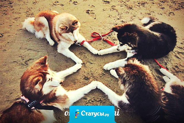 Помните: тот, у кого есть друзья настоящие, уже многого добился в жизни.