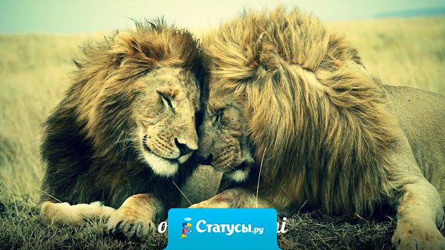 С годами я узнаю кто из друзей останется со мной до последнего.