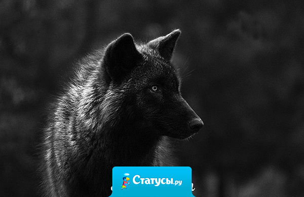 Когда ты прав, никто этого не замечает. А как ошибешься — никто не упустит шанс намекнуть о твоей ошибке.