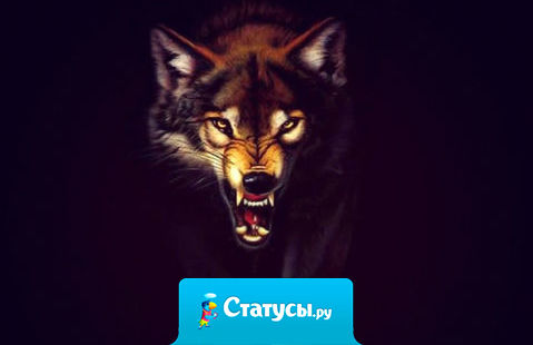 Мое детство и юность прошли без интернета. Может быть поэтому я понимаю, что за языком нужно следить, а за слова отвечать