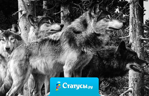 Кто-то из грязи — в князи, кто-то из друзей — в мрази, кто-то из дорогих и близких — в дешевых и низких. Такая штука — жизнь!