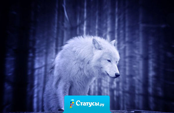 Люди слишком быстро находят тебе замену, вроде вчера ты казался нужным, а сегодня уже нет.