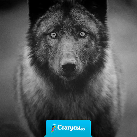 Иногда жизнь преподносит такие уроки, что хочется их прогулять.