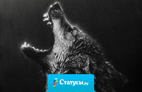 В жизни бывают такие минуты, когда слезы туманят глаза. Но в тысячу раз тяжелее бывает, когда плачет душа, но сухие глаза.