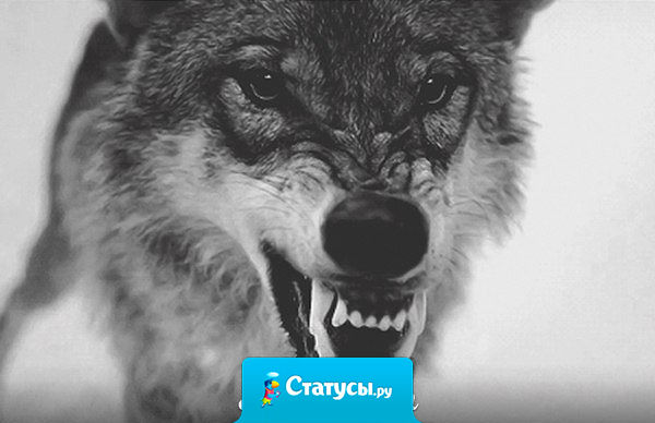 Не спеши мстить сам - посмотри, как красиво это сделает жизнь!