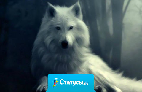 Однажды слеза сказала улыбке: 