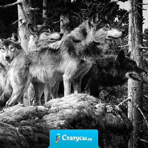 Кто-то из грязи — в князи, кто-то из друзей — в мрази, кто-то из дорогих и близких — в дешевых и низких. Такая штука — жизнь!