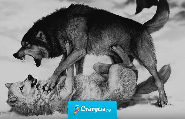 Хочешь испортить отношения - сделай ему добро.