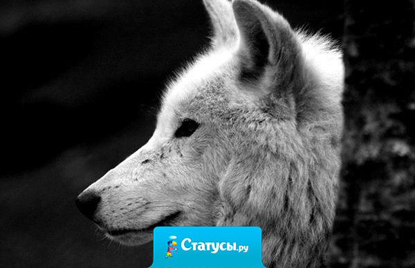 Отказавшись от меня однажды, больше не лезьте в мою жизнь.