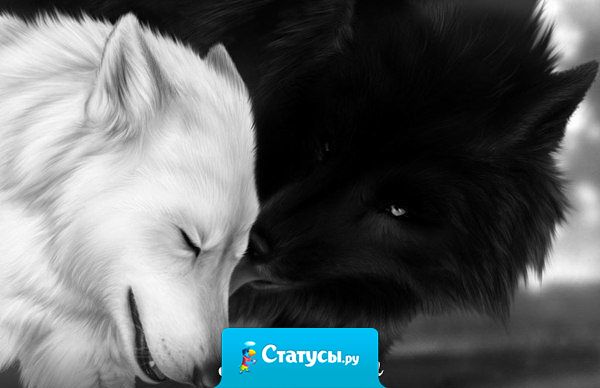 Моя проблема в том, что я, к сожалению, слишком быстро всё прощаю.