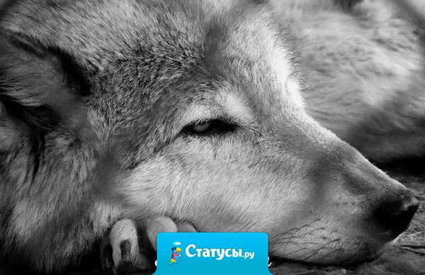 А я привык не показывать эмоции. На лице улыбка, а внутри все рвется.