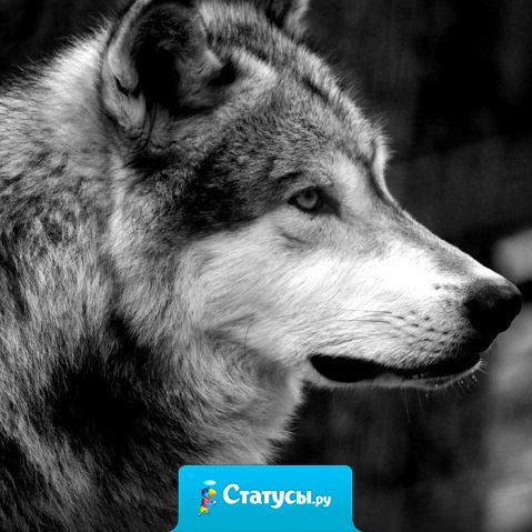 Лучше быть никому не нужным, чем использованным.