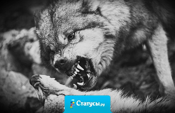 Я никогда не пущу обратно в свою жизнь тех людей,  которые ушли из неё по собственному желанию.