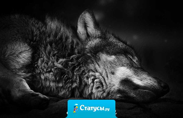 Наступает момент, когда понимаешь, что зря пустил кого-то в свою жизнь. Этому человеку ты не нужен, просто ему не с кем было провести время.