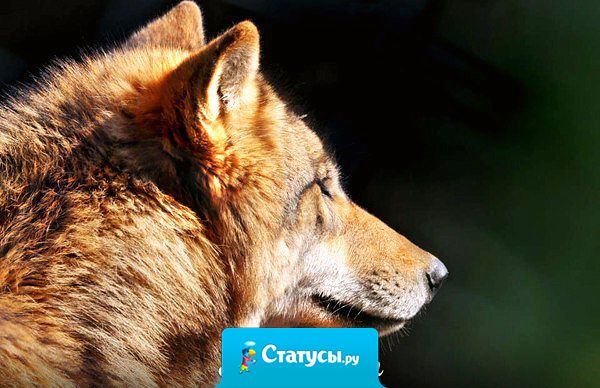 Совесть и порядочность глазами не видны,  но их отсутствие бросается в глаза