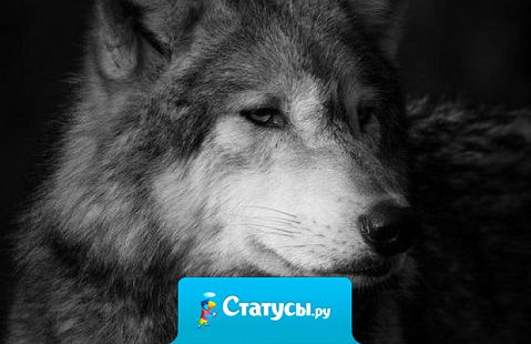 Порой такое ощущение, что я нужен людям только тогда, когда им скучно.