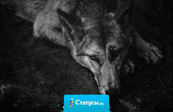 Друзья познаются в беде. И чем сложнее беда, тем точнее идёт сортировка.