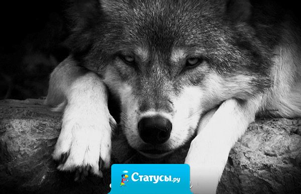 Боль нужна, чтобы мы знали цену жизни.