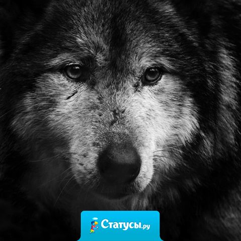 Всё проходит, но не все забывается.