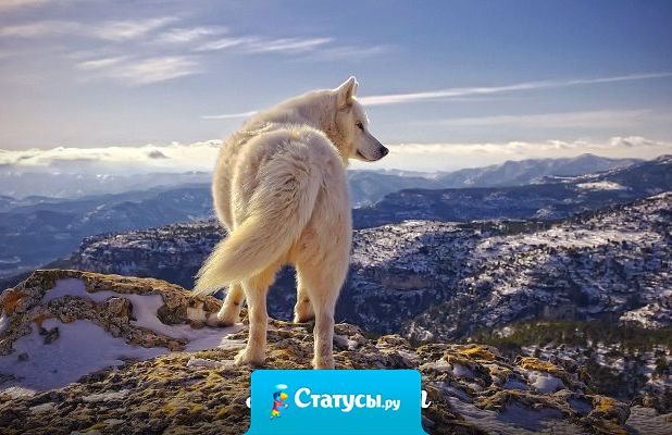 Человек обычно становится гораздо  сильнее, когда осознает, что помощи ему ждать неоткуда и надеяться можно только на самого себя