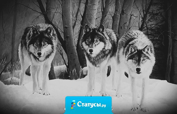 Даже если весь мир встанет против моих близких, то я встану рядом с ними. Против всего мира.