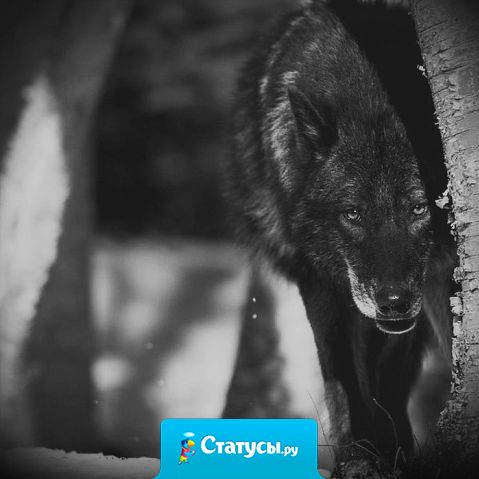 Если тебе плюют в спину, не надо там философских мыслей,  что ты впереди, просто повернись и проломи ему череп!