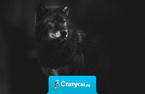 Не пачкайте свою жизнь людьми, которые вас не ценят.