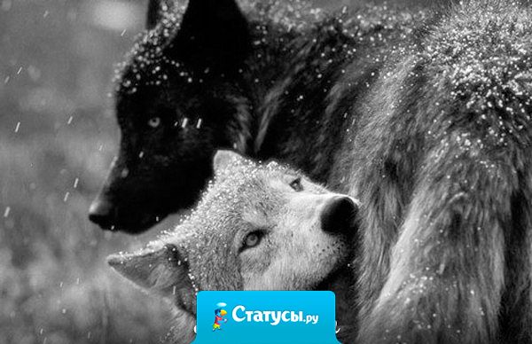 Когда находишь свое, на чужое даже смотреть не хочется.