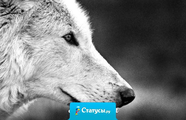 Отношение к человеку меняется,  если он не ценит то, что ты для него делаешь.