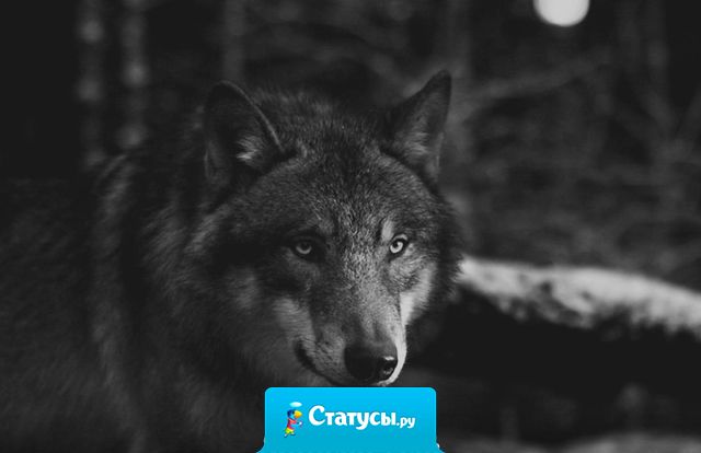 Ну куда мне до вас? Придется очень долго опускаться.