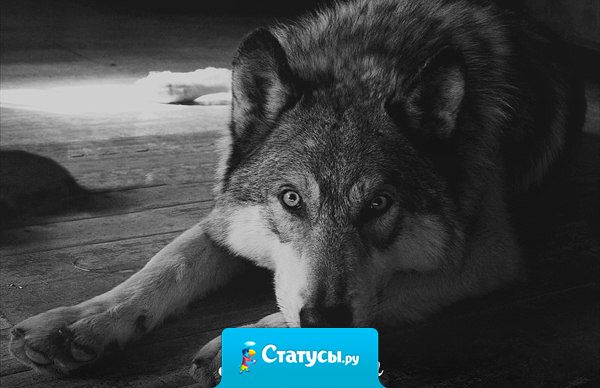 Пройдут года. Поймет любой. И это не изменится. Чем больше жертвуешь собой. Тем меньше это ценится.