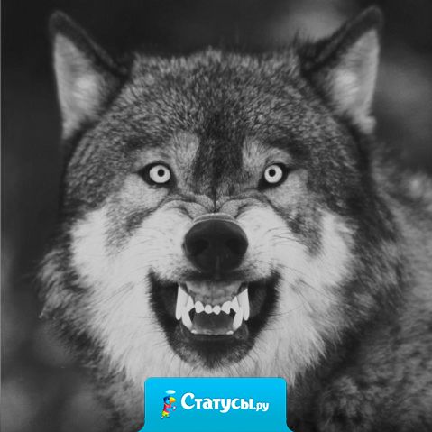 Не верьте слухам, я ещё хуже.