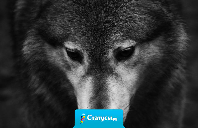 Доверять людям? Да, был такой косяк.