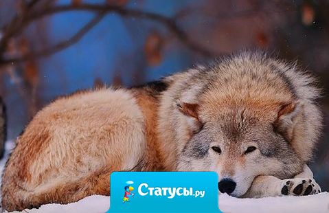 Проще держать в себе все чувства, проcто потому что в ниx теперь мало кто верит.