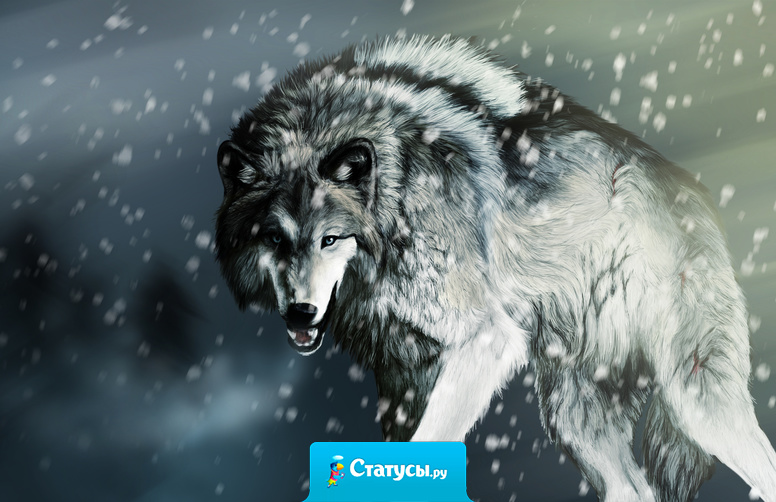 Если тебя ненавидит весь мир, живи ему на зло!