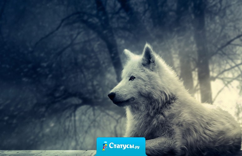 Не стоит обижаться на людей, просто молча делайте выводы.