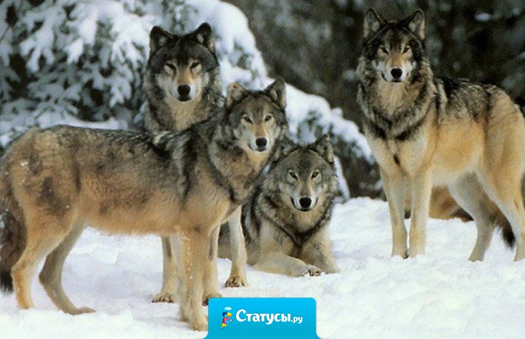 А потом так 