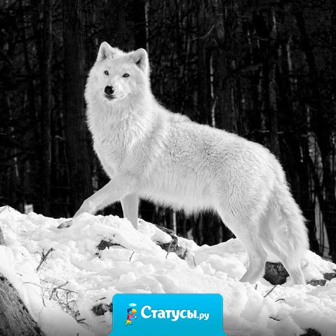 Самое страшное, что мы так молоды, но у каждого из нас уже есть глубокие раны на сердце.