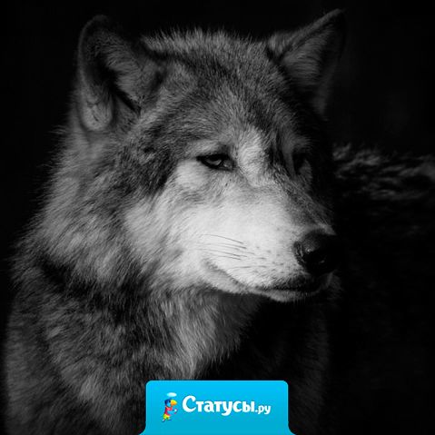 Бывает, люди даже и не замечают, как сильно они могут обидеть