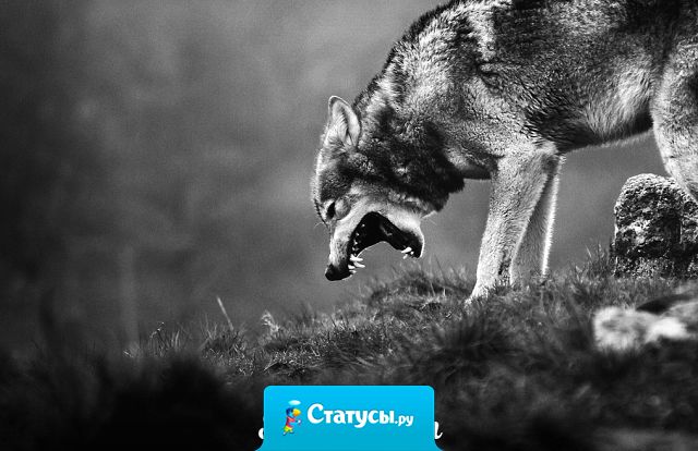 Так бывает, что в самые нужные моменты рядом нет никого.