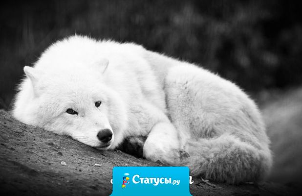 Я не идеальный, но и вы не святые, чтобы осуждать меня