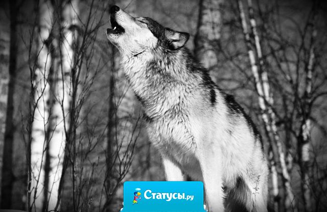 Не кричи о своих проблемах, они всем безразличны.